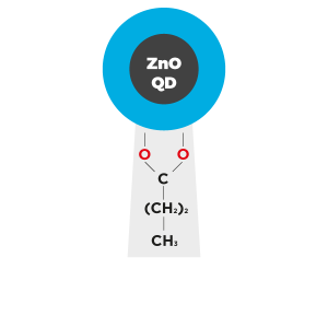 Zinc Oxide ZnO Quantum Dots