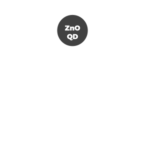 Zinc Oxide ZnO Quantum Dots